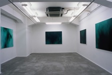 solo exhibition: qualia<