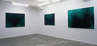 solo exhibition: qualia<