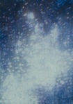underwater #1