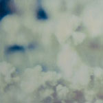 pink noise